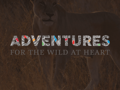 Adventures for the Wild at Heart Logo